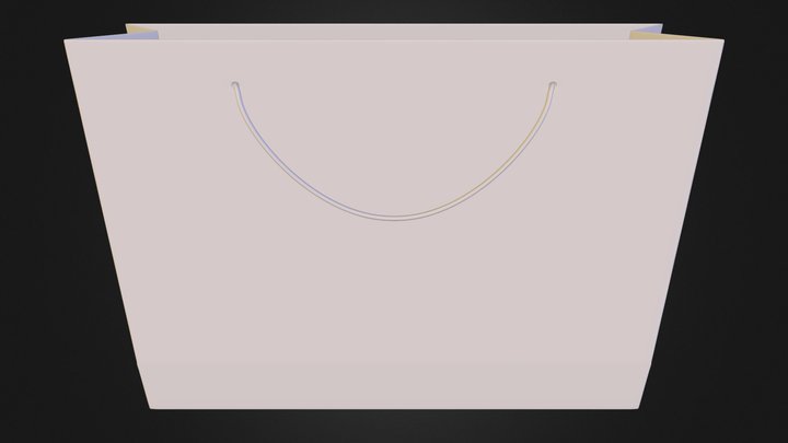 Shopping Bag.obj 3D Model