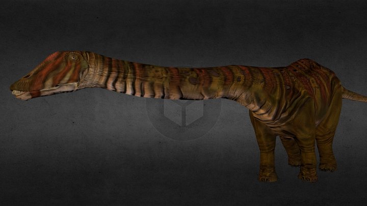 Diplodocus 3D Model