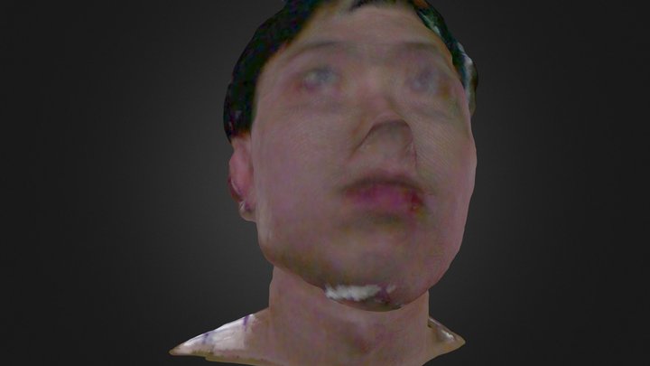 My Face with color 3D Model