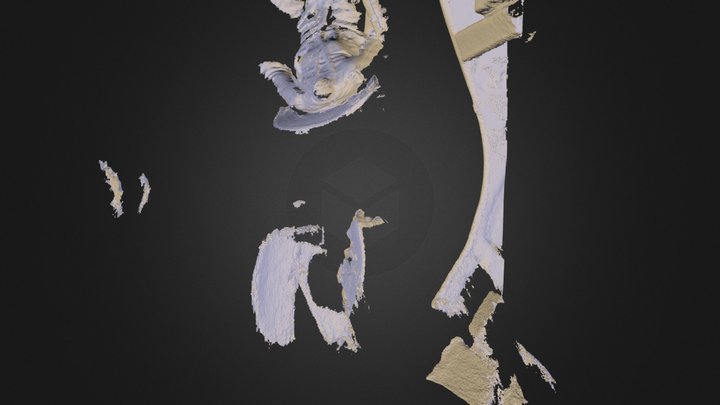 hi hi.stl 3D Model