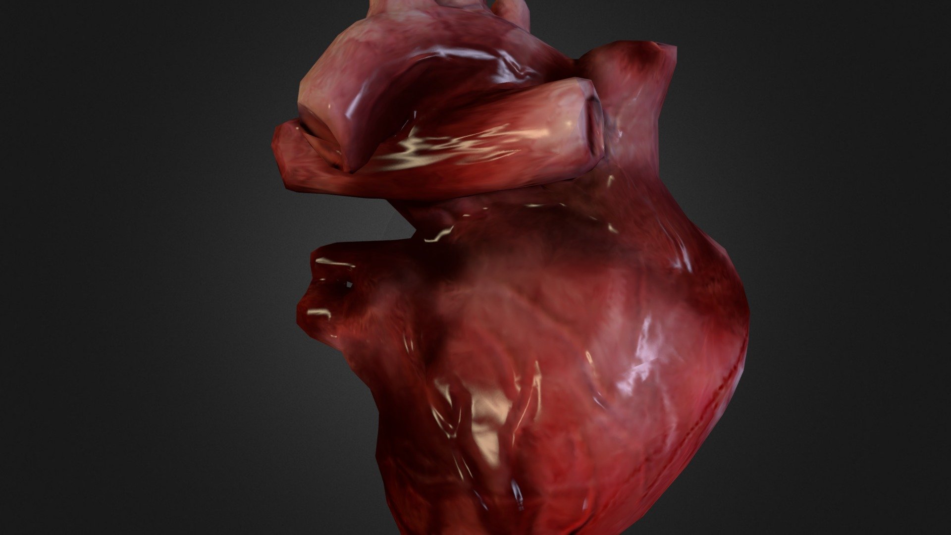 Human heart