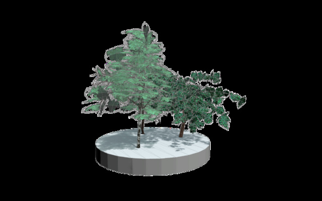 Low Poly tree  3D Model