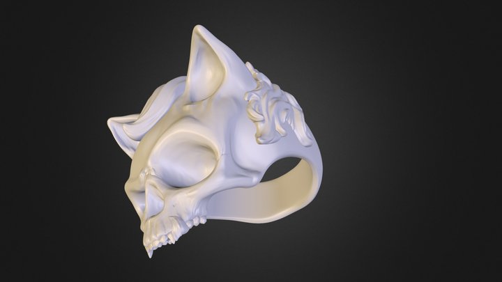 chat_skull_final_rempli.stl 3D Model