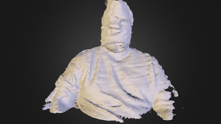 dallo23d.ply 3D Model