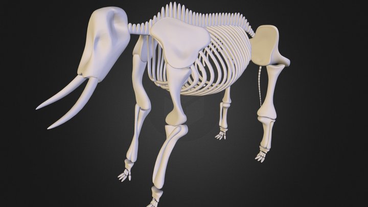elephant.3ds 3D Model