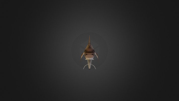 Saw shark 3D Model