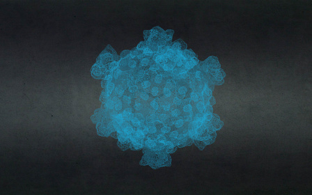 Rhinovirus2 3D Model