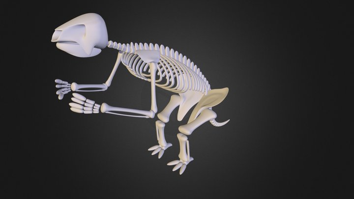 sloth.3ds 3D Model