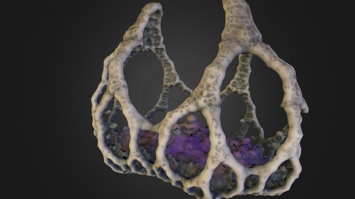 JewelBasket 3D Model