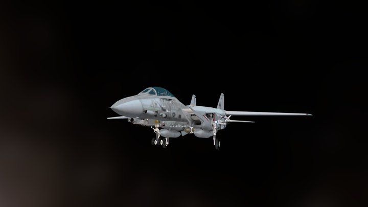 Grumman F-14 Tomcat 3D Model