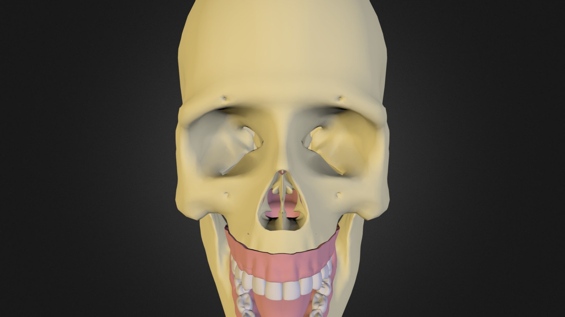 skull-3d-model-by-morris530-wsr0xg7-sketchfab