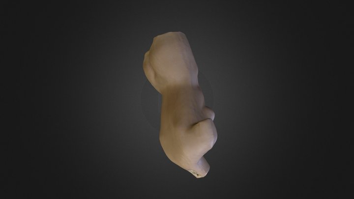 torso.ply 3D Model