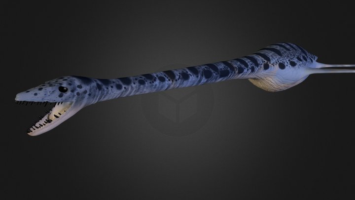 Elasmosaurus_FInished_Model.obj 3D Model