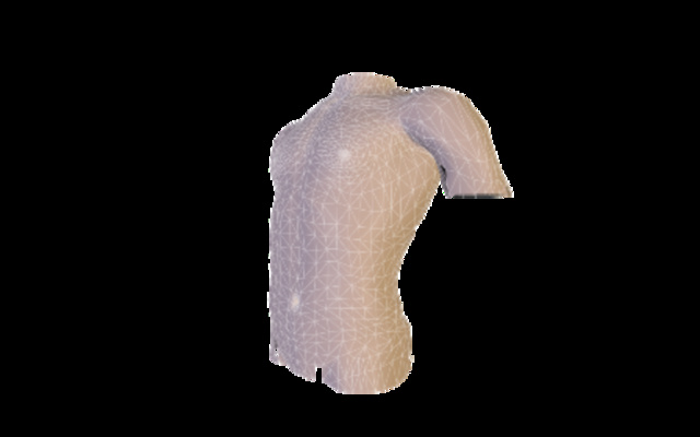 tronco 3D Model