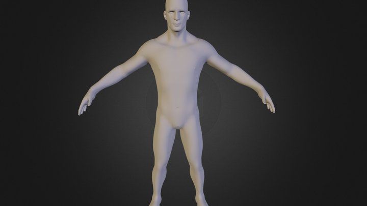 Viking 3D Model