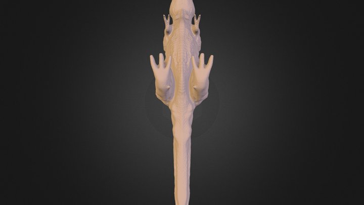 dragon.fbx 3D Model