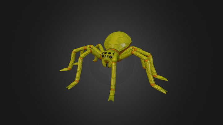 Giant Spider 3D Model