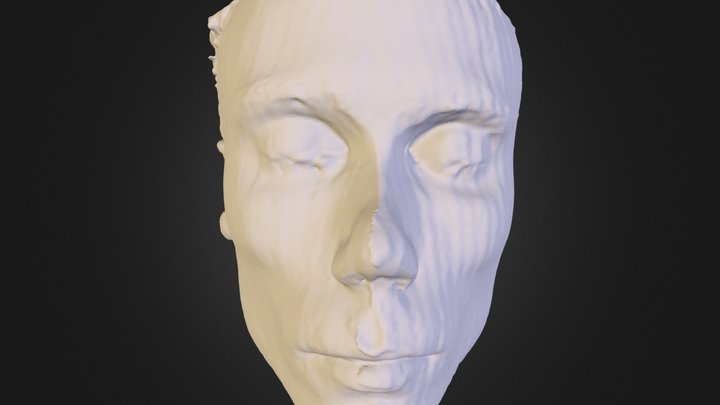 facescan 3D Model