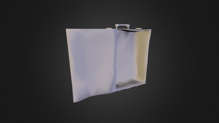 Travel_bag.fbx 3D Model