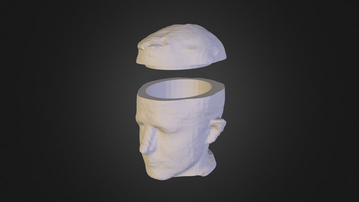 Head Case 3D Model