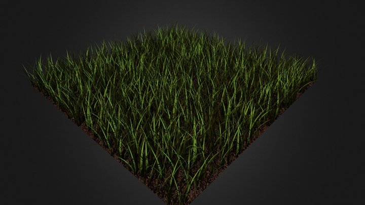 Grass Patch 3D Model