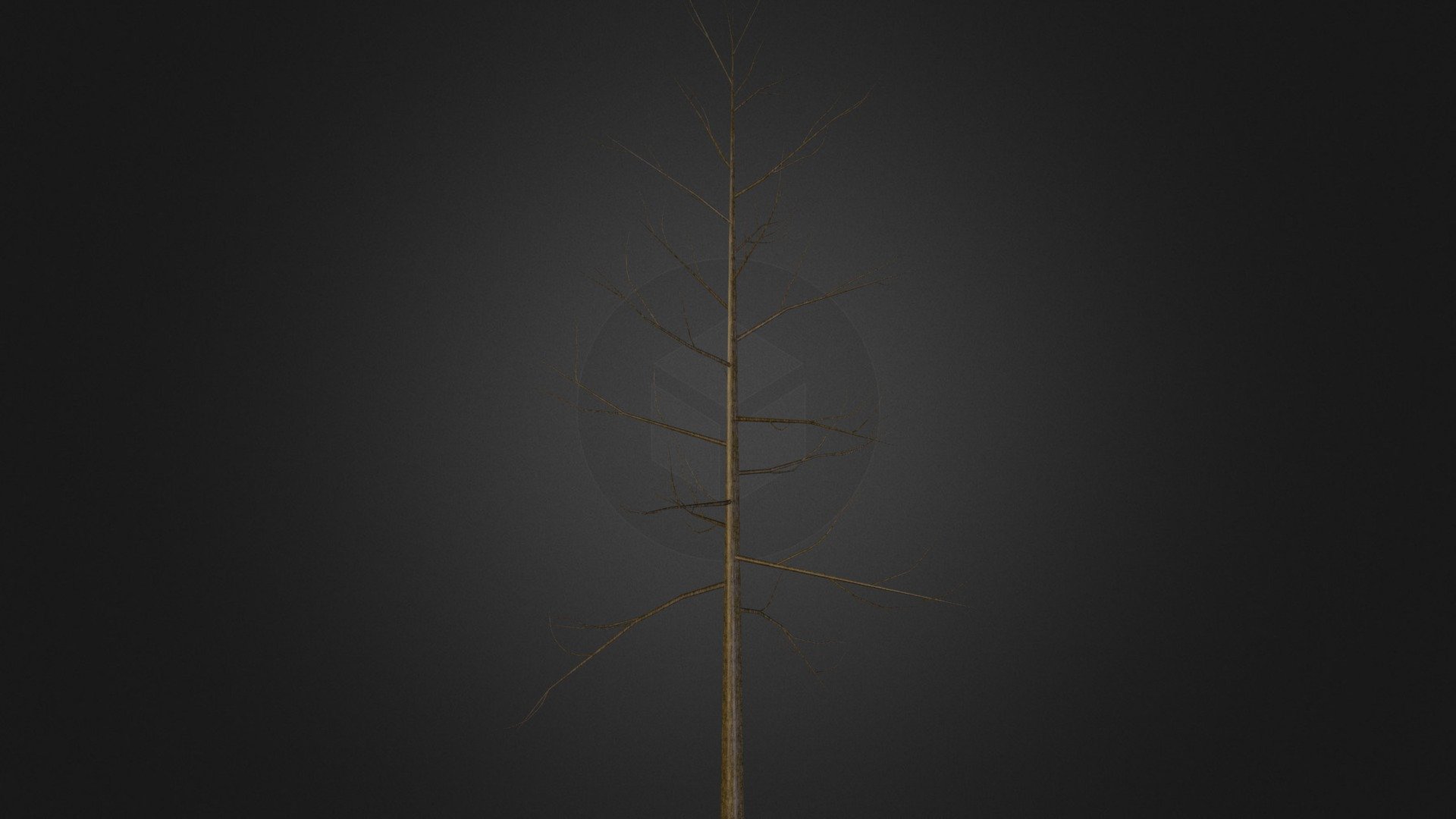 Tree 3