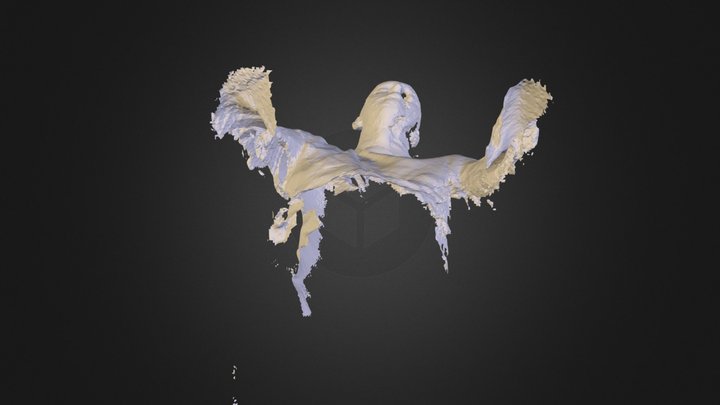 MeshedReconstruction.stl 3D Model