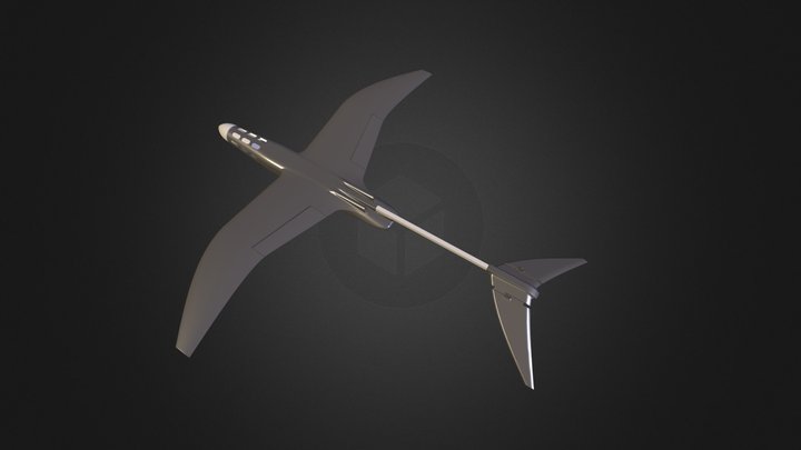 Wind Skimmer DPF2.ac 3D Model