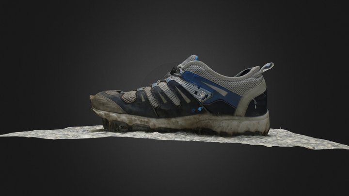 Old Shoe 3D Model
