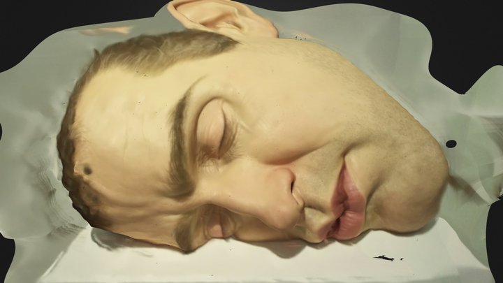 Ron Mueck's face 3D Model